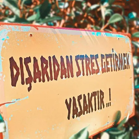 Kairos Pasa Bungalow