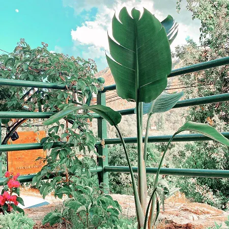 Kairos Pasa Bungalow Aparthotel *