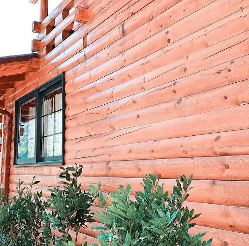 Ξενοδοχείο με διαμερίσματα Kairos Pasa Bungalow *