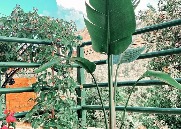 Kairos Pasa Bungalow Ξενοδοχείο με διαμερίσματα *