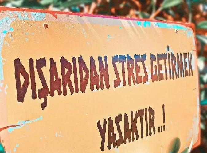 Kairos Pasa Bungalow